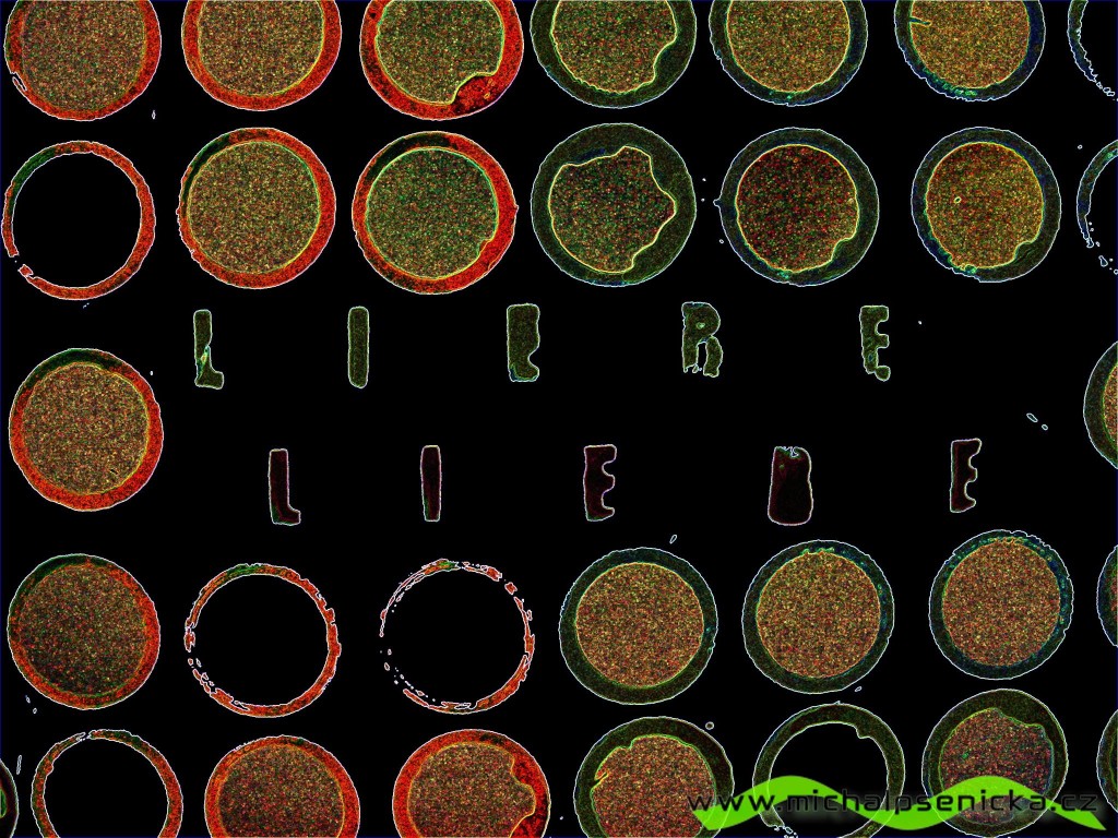 Liebe, Liebe Laibach