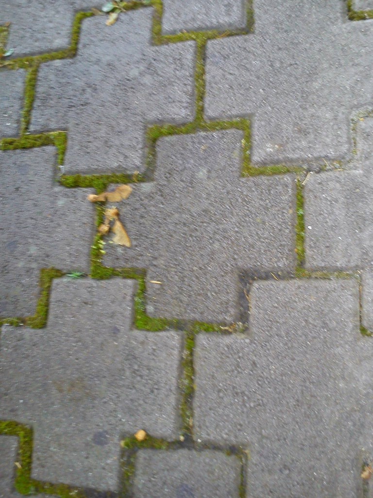 The Pavement