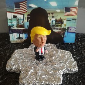 D.S.A.