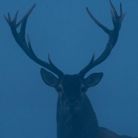 photo by Włodzimierz Stachoń