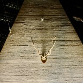 Antler in Helsinki, FIN