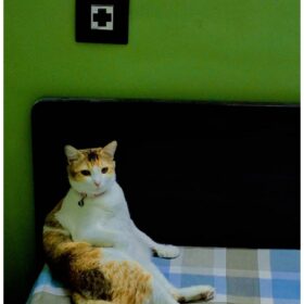 Photo by Monarch Banerjee by MFB edit — forwarded by M.F. Biskup – with the consent of the author